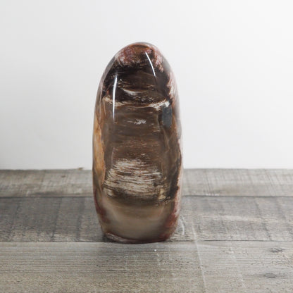 Petrified Wood Freeform from Madagascar A01
