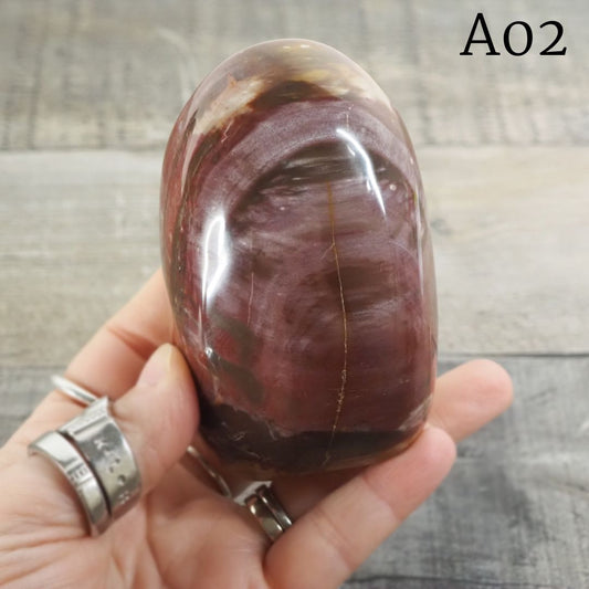 Petrified Wood Freeform from Madagascar A02-A04 - You Choose!