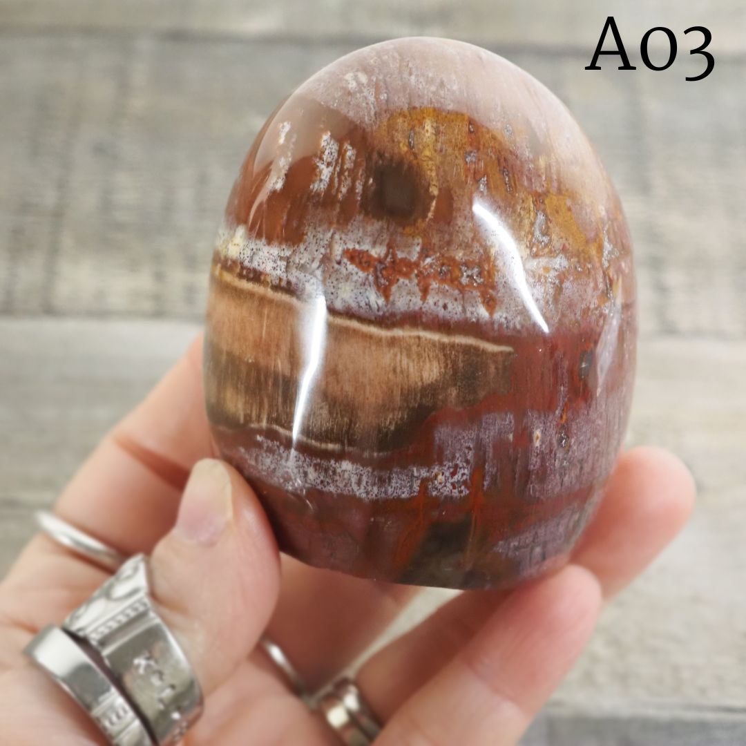 Petrified Wood Freeform from Madagascar A02-A04 - You Choose!