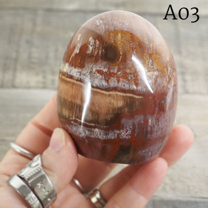 Petrified Wood Freeform from Madagascar A02-A04 - You Choose!