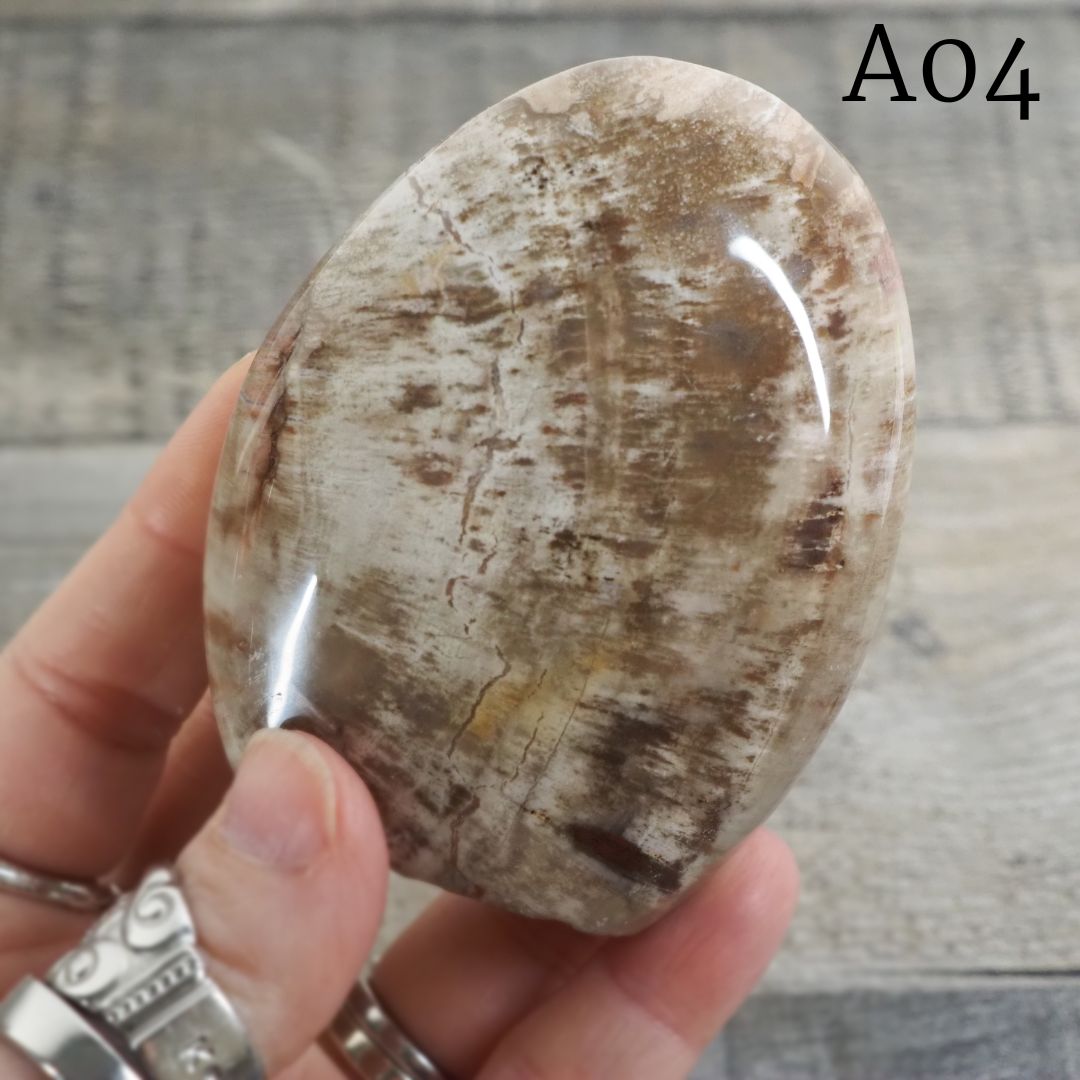 Petrified Wood Freeform from Madagascar A02-A04 - You Choose!