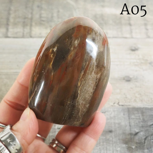 Petrified Wood Freeform from Madagascar A05-A07 - You Choose! (Copy)