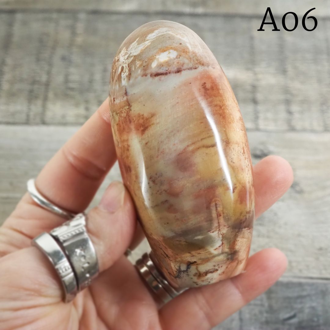 Petrified Wood Freeform from Madagascar A05-A07 - You Choose! (Copy)