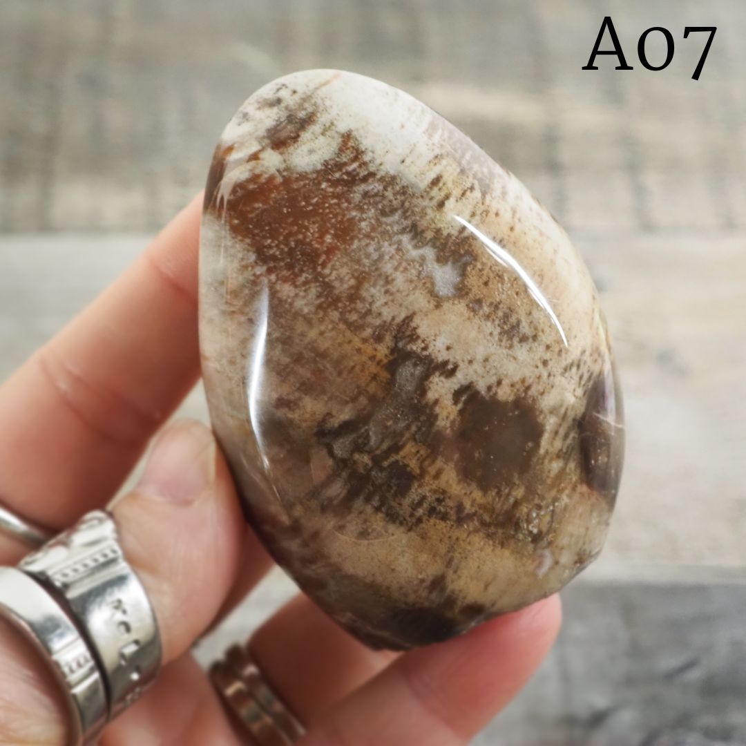 Petrified Wood Freeform from Madagascar A05-A07 - You Choose! (Copy)