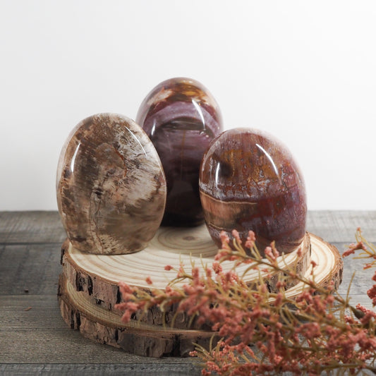 Petrified Wood Freeform from Madagascar A02-A04 - You Choose!