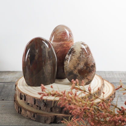 Petrified Wood Freeform from Madagascar A05-A07 - You Choose! (Copy)