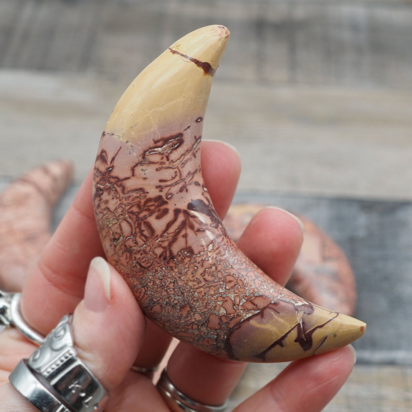 Sahara Desert Picture Jasper Moon Carvings