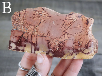 Sahara Desert Picture Jasper Slabs