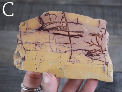 Sahara Desert Picture Jasper Slabs