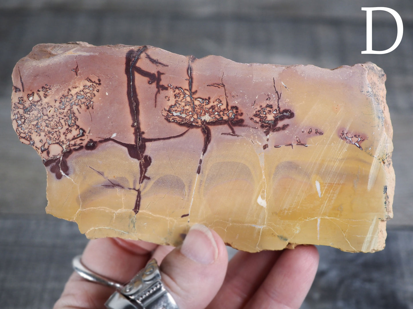 Sahara Desert Picture Jasper Slabs