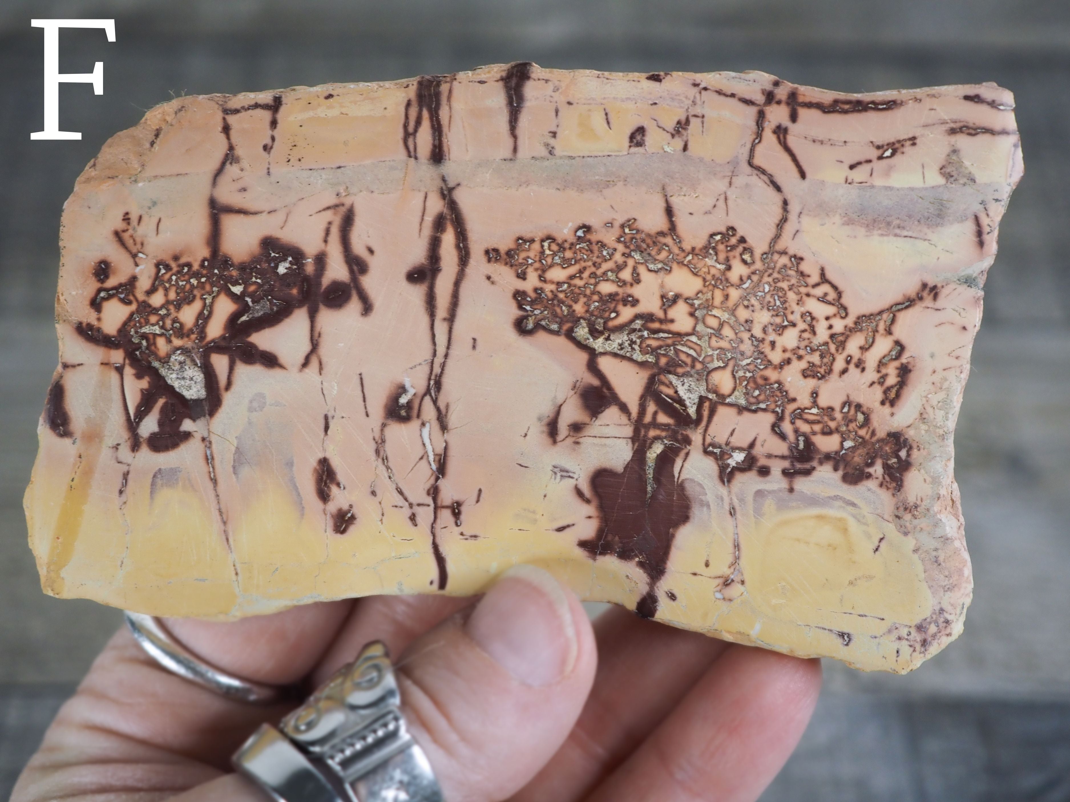 Sahara Desert Picture Jasper Slabs