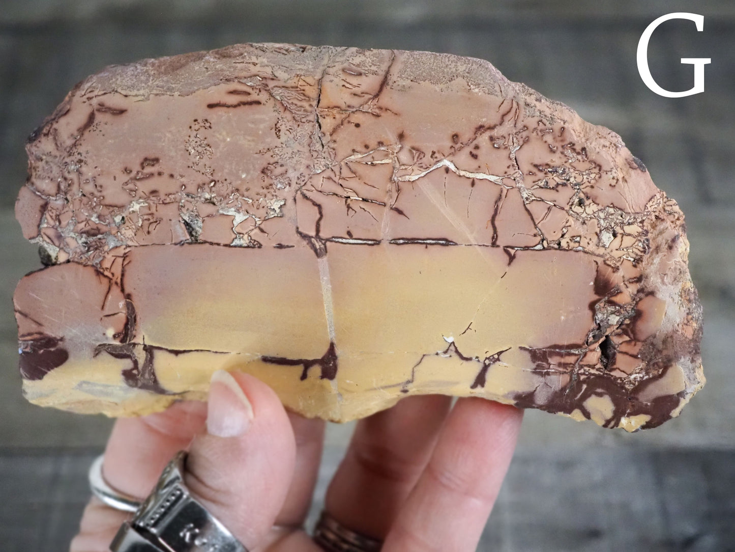 Sahara Desert Picture Jasper Slabs