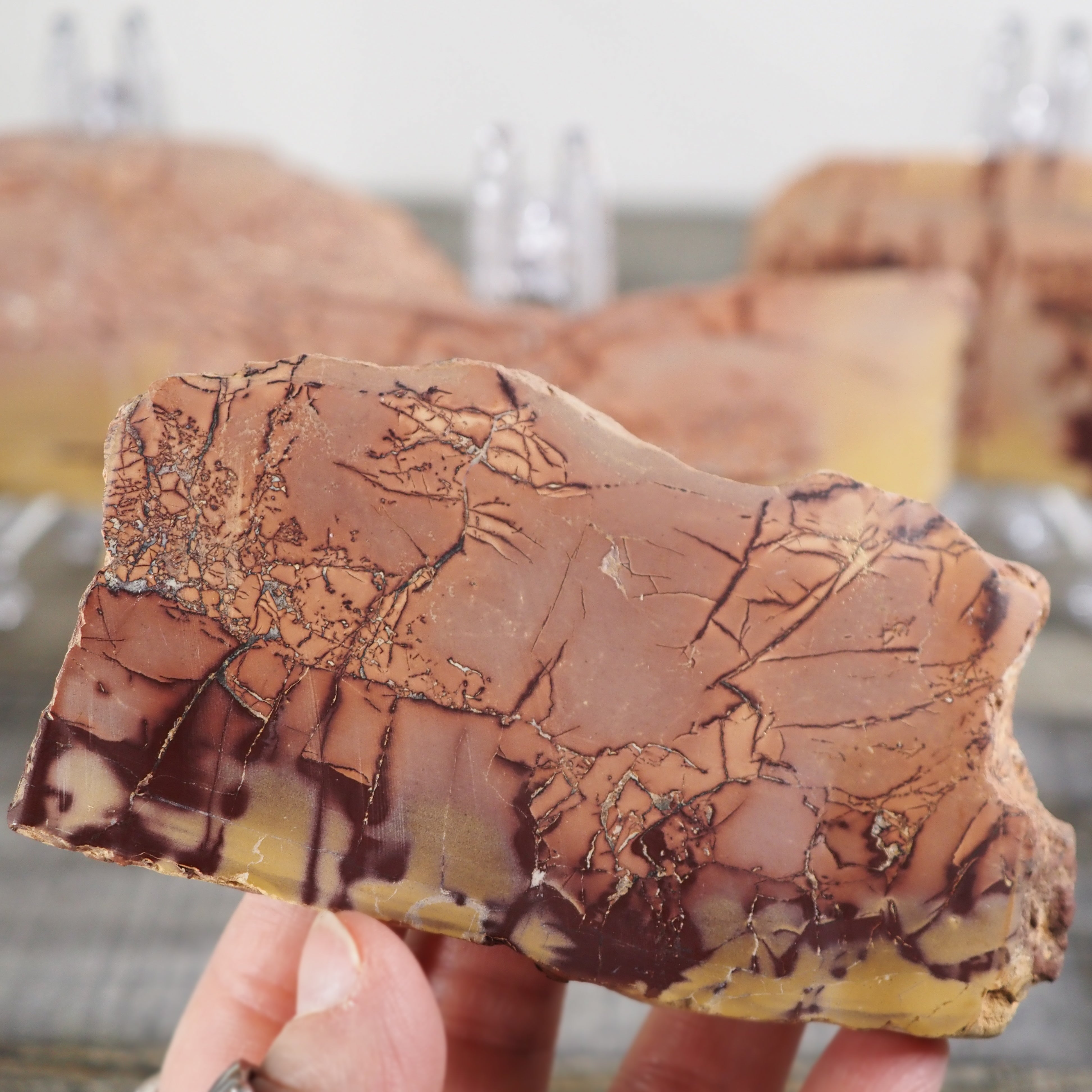Sahara Desert Picture Jasper Slabs