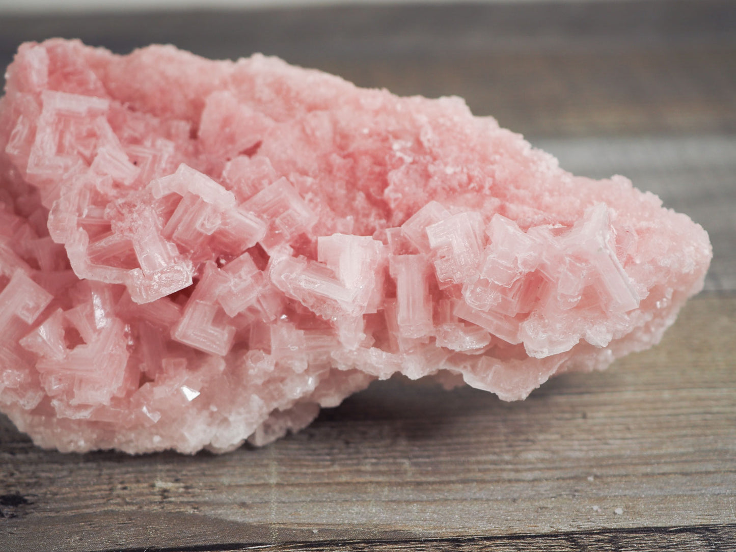 Searles Lake Pink Halite Cluster C