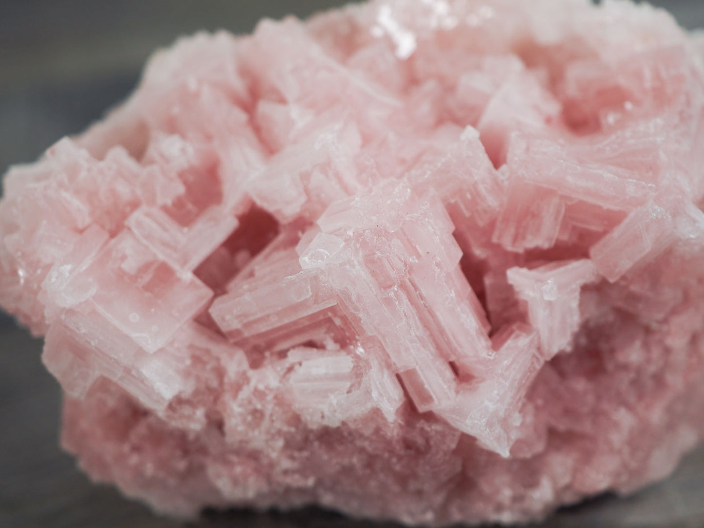 Searles Lake Pink Halite Cluster D