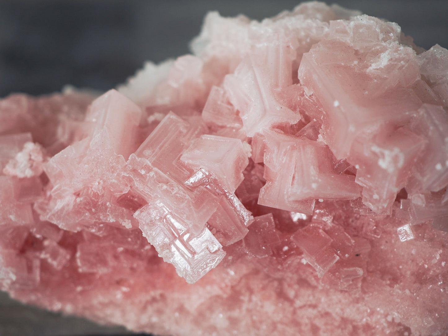 Searles Lake Pink Halite Cluster G