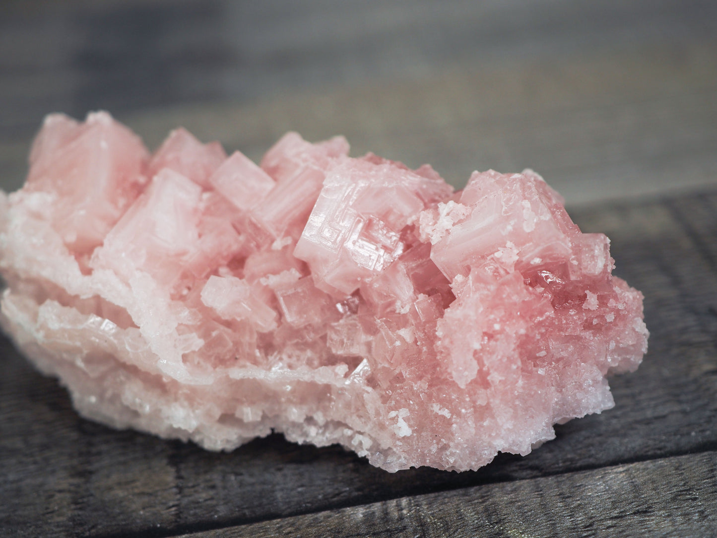 Searles Lake Pink Halite Cluster G