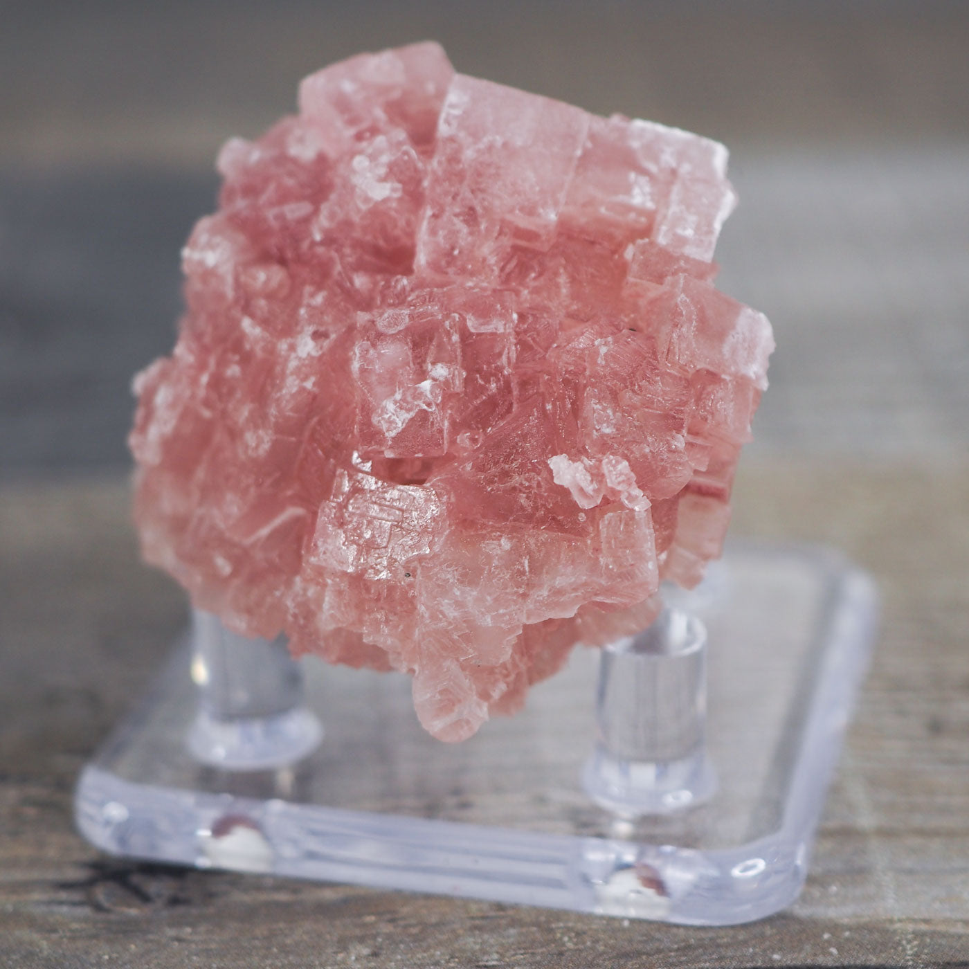 Searles Lake Pink Halite Cluster J