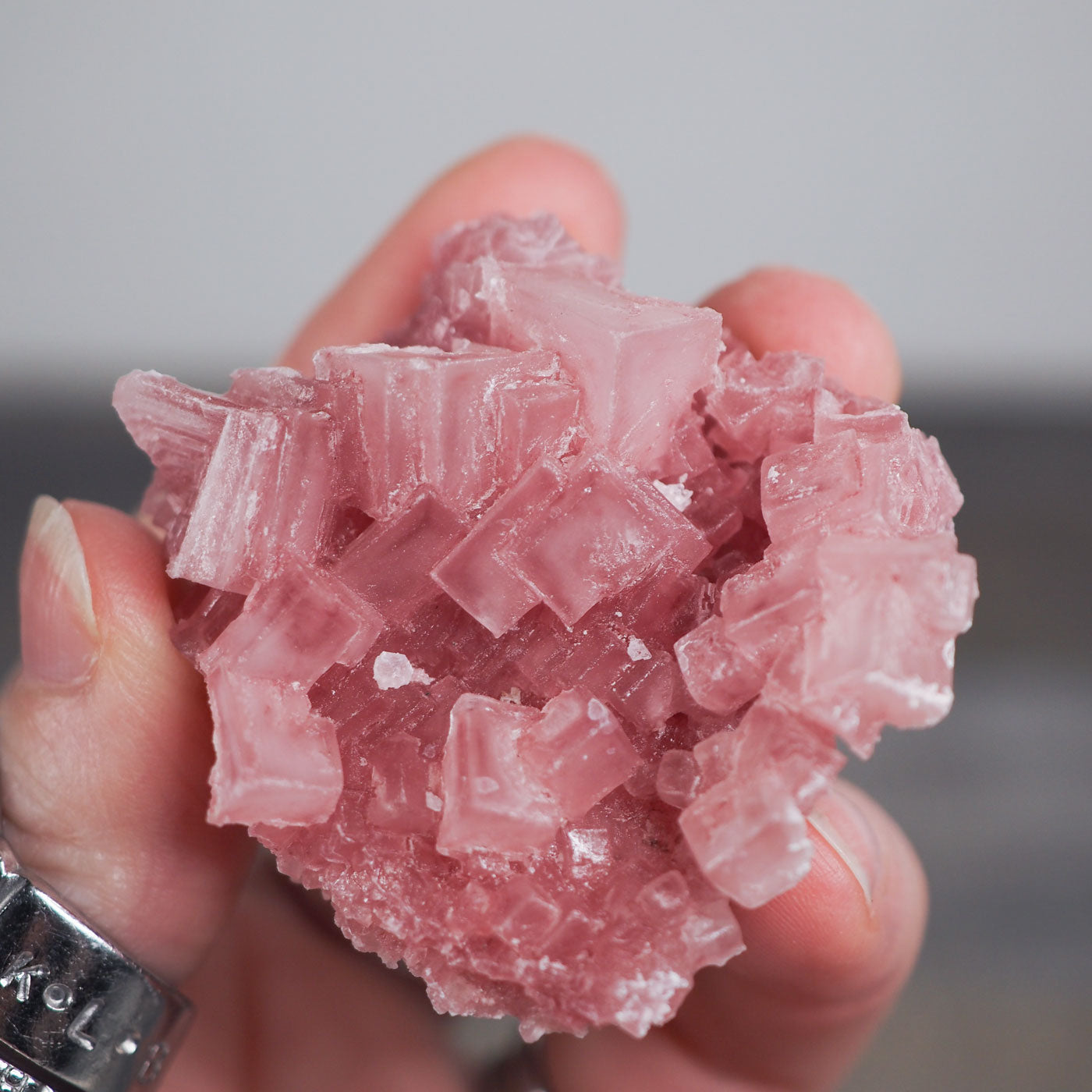 Searles Lake Pink Halite Cluster M