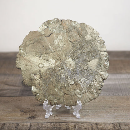 Shimmering Pyrite Sun B (Natural Formation)