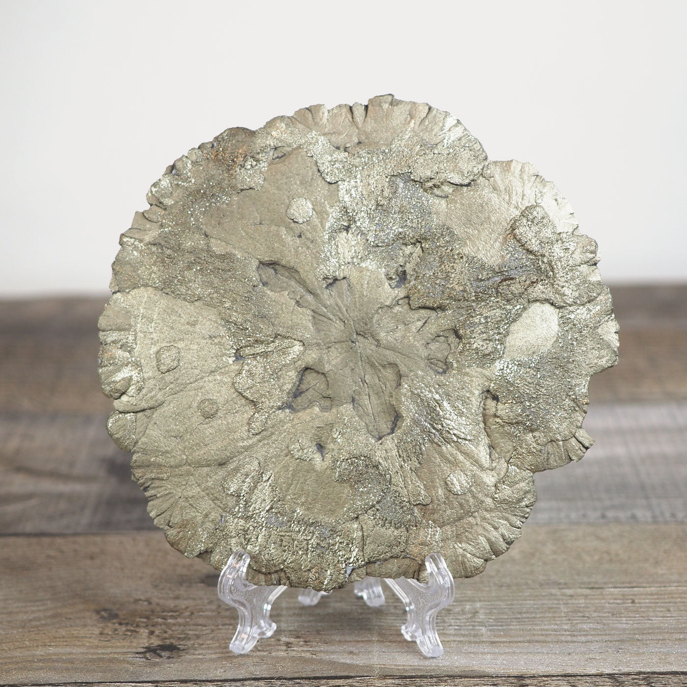 Shimmering Pyrite Sun B (Natural Formation)