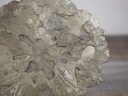 Shimmering Pyrite Sun B (Natural Formation)