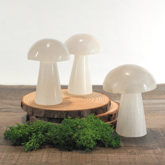 Satin Spar Selenite Mushrooms