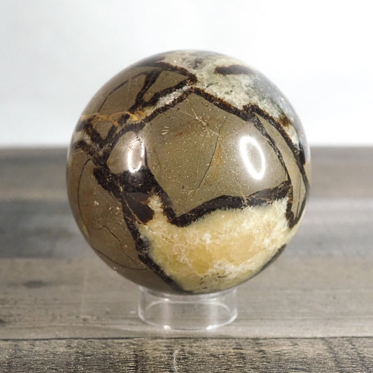Septarian Sphere A