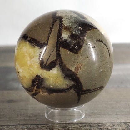 Septarian Sphere A