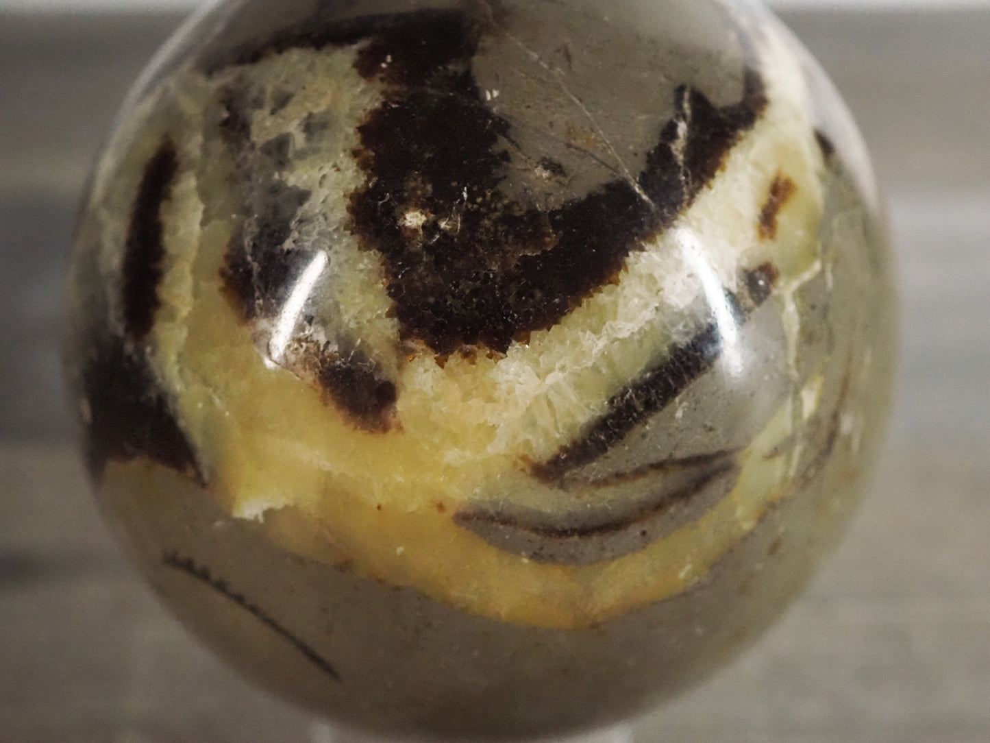 Septarian Sphere A