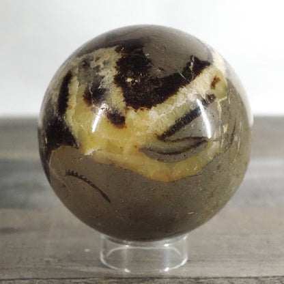 Septarian Sphere A