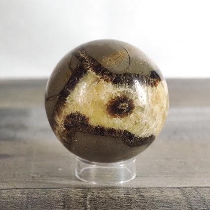 Septarian Sphere B