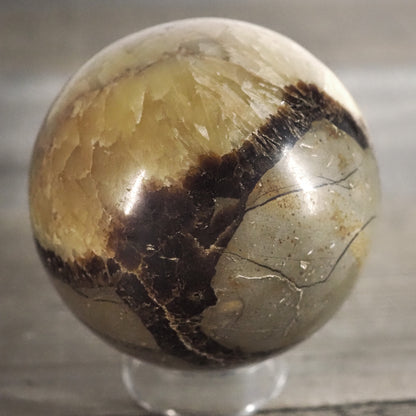 Septarian Sphere B