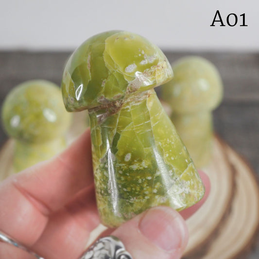 Serpentine Mushroom Carvings - You Choose!