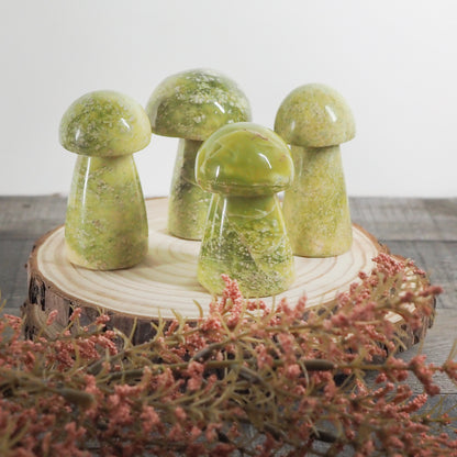 Serpentine Mushroom Carvings - You Choose!
