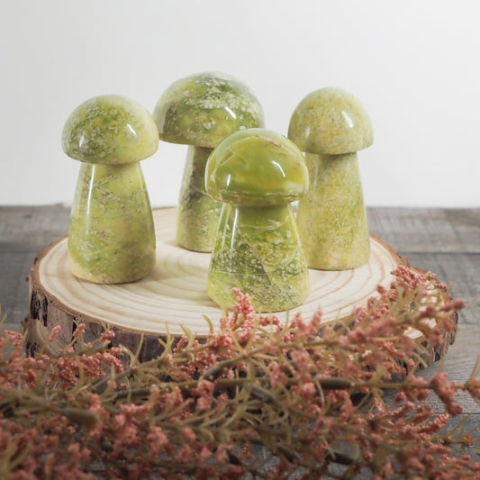 Serpentine Mushroom Carvings - You Choose!