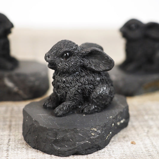 Shungite Bunny Carving