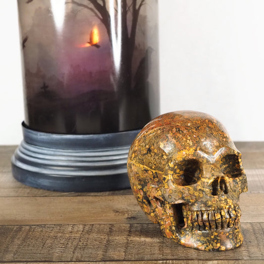 Extra-Detailed 5 inch Leopard Skin Jasper Skull