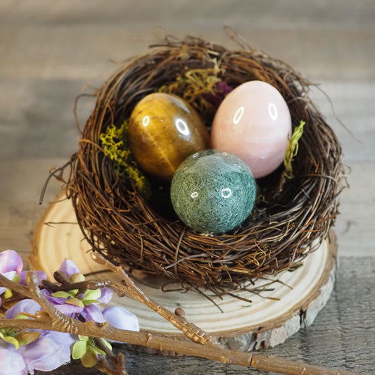 Surprise Egg Nests