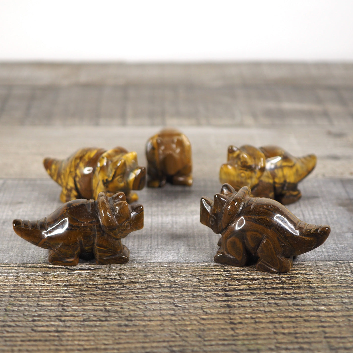 Tiger's Eye Mini Triceratops Carvings