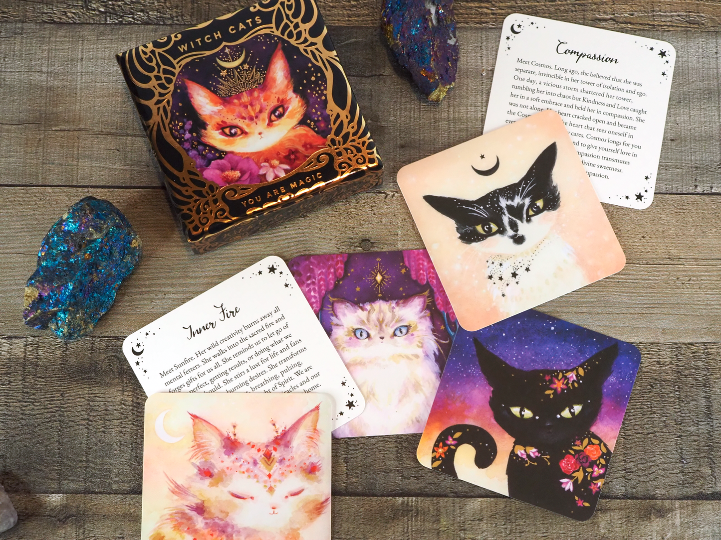Witch Cats Oracle Deck by Nicole Piar