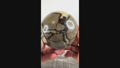 Septarian Sphere A