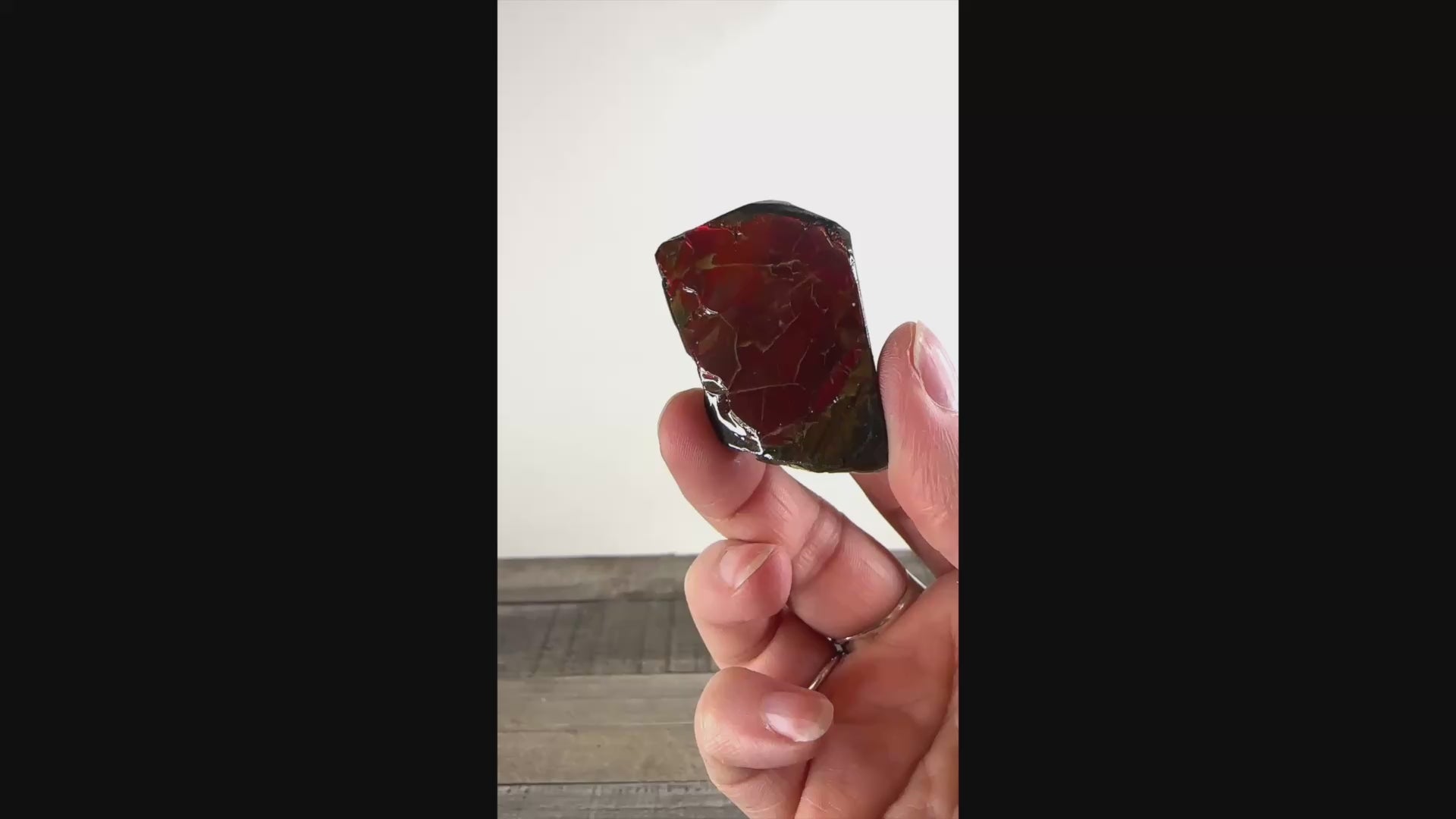 Ammolite from Alberta, Canada AA01