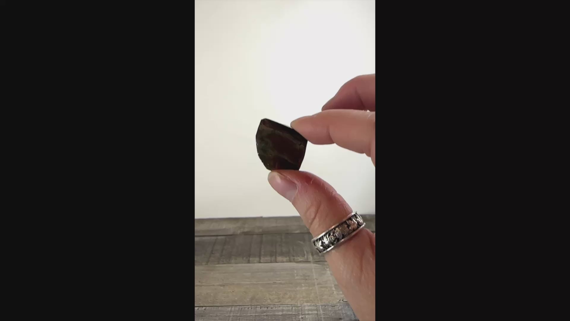 Ammolite from Alberta, Canada AA06