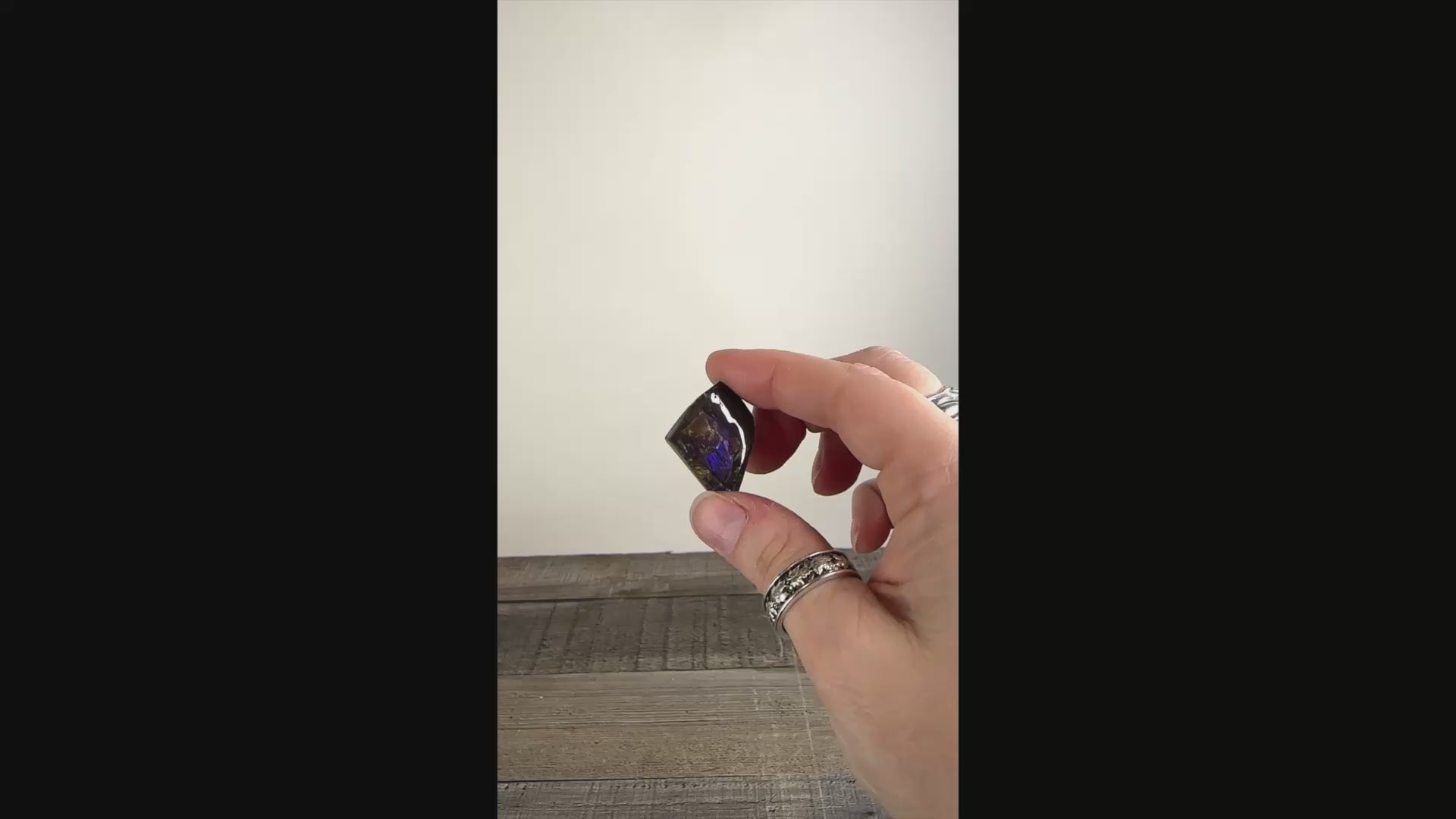 Ammolite from Alberta, Canada AA04