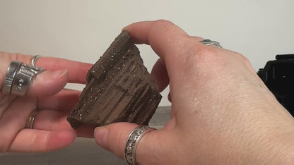Permineralized Sparkling Fossil Wood from Germany (11)