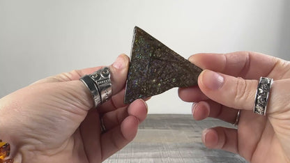 Ammolite from Alberta, Canada B