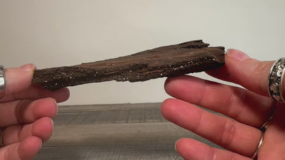 Permineralized Sparkling Fossil Wood from Germany (03)
