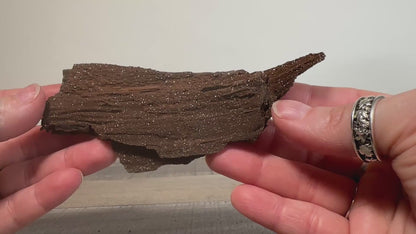 Permineralized Sparkling Fossil Wood from Germany (06)