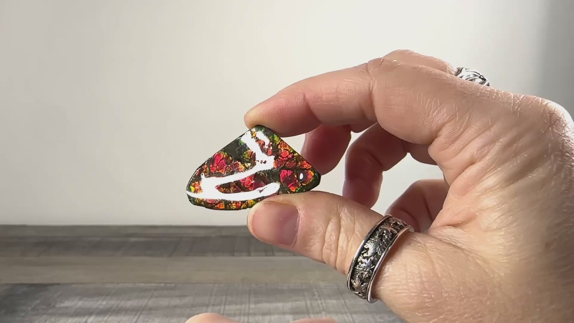 Ammolite from Alberta, Canada AA07